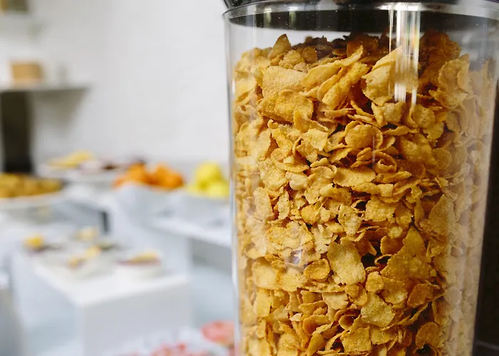 酒店 Paradiso 西尼加利亚