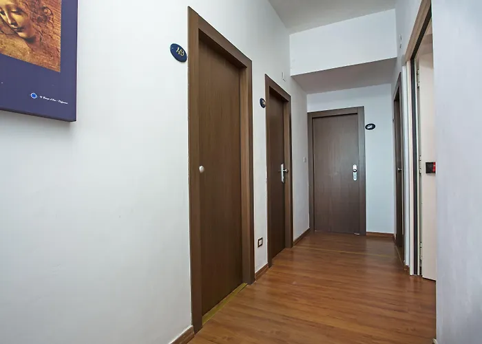 Paradiso 酒店 西尼加利亚