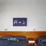 Hotel Paradiso Senigallia